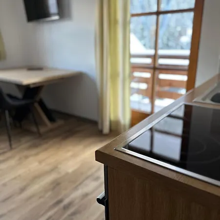 Steinbock Lägenhet Samnaun