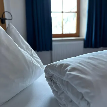 Steinbock Daire Samnaun