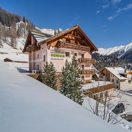 アパート Steinbock *